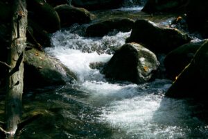 Rola Wód Polskich w administrowaniu drogami wodnymi – zadania i wyzwania