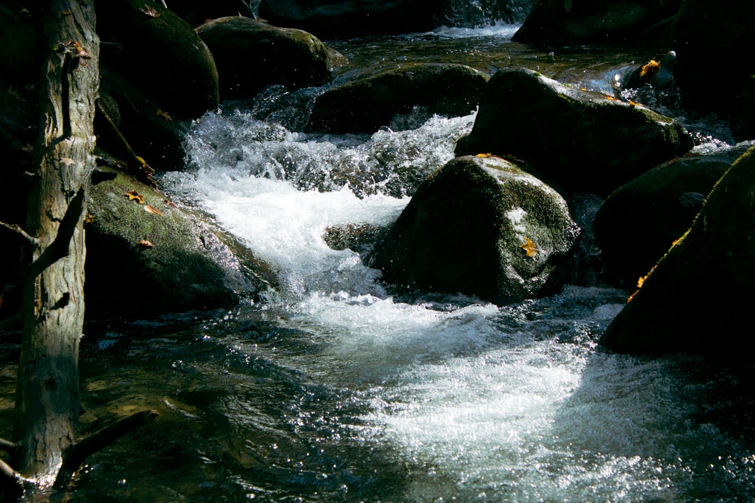 Rola Wód Polskich w administrowaniu drogami wodnymi – zadania i wyzwania