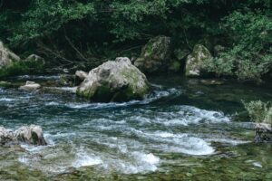 Ochrona bioróżnorodności w korytach rzek – jak inwestycje hydrotechniczne wpływają na ekosystem