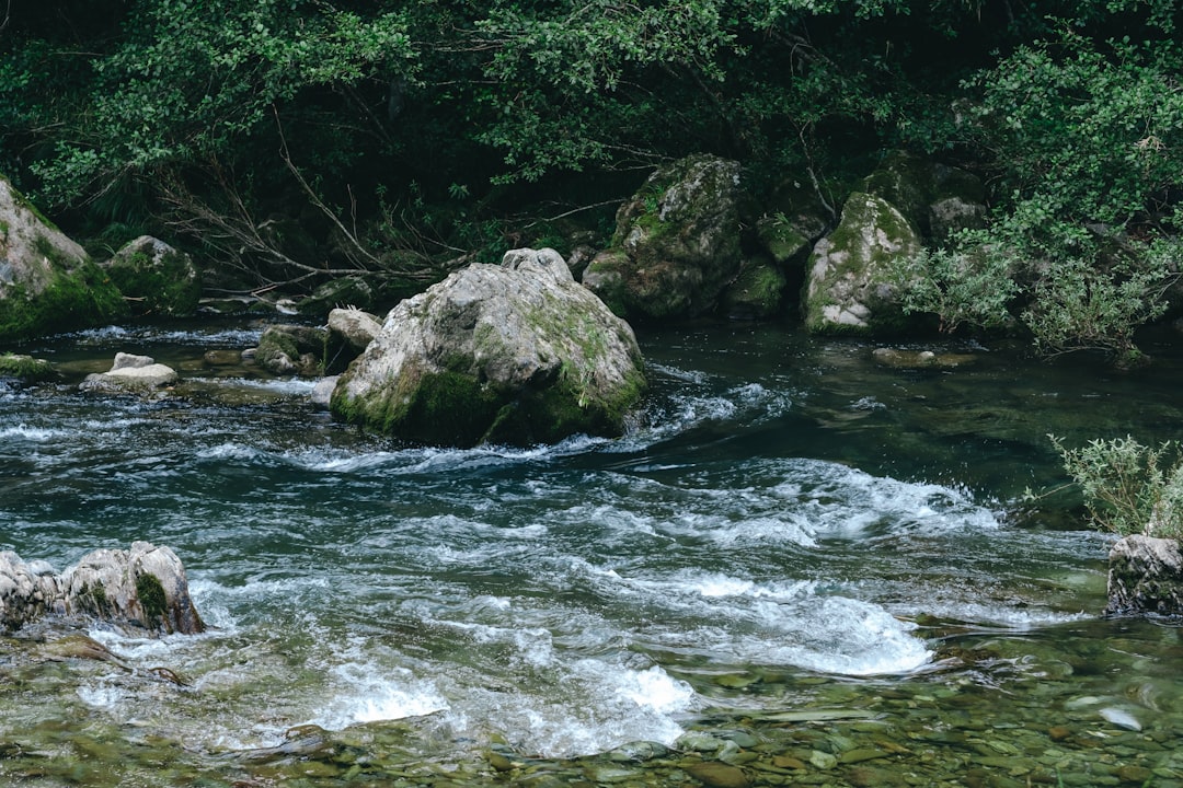 Ochrona bioróżnorodności w korytach rzek – jak inwestycje hydrotechniczne wpływają na ekosystem