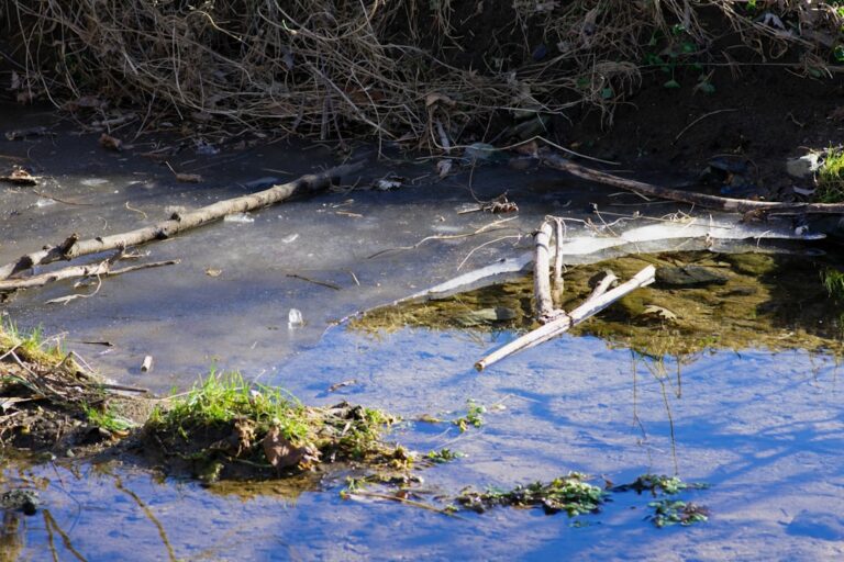 Zanieczyszczenia chemiczne w rzekach – zagrożenia i sposoby prewencji