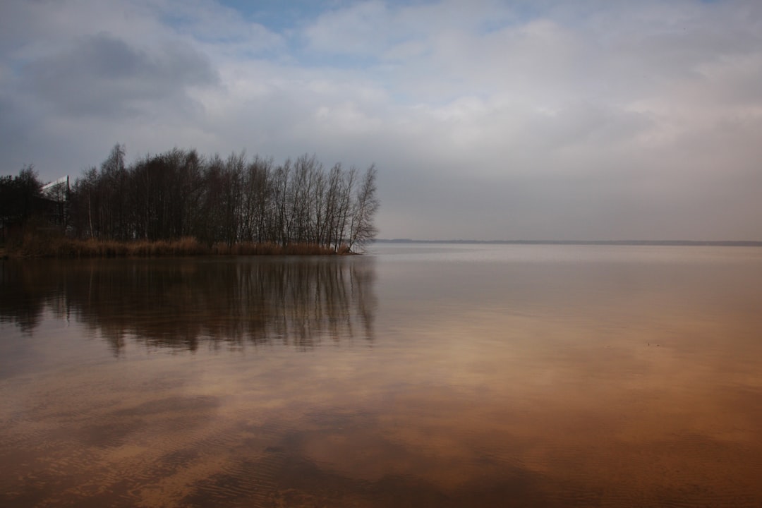 Budżet na modernizację taboru – jak go zaplanować