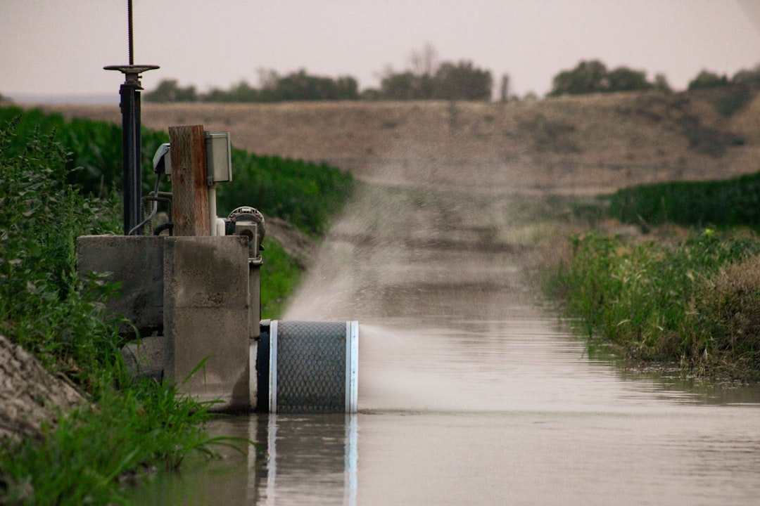 Problemy hydrologiczne na rzece Warcie – wpływ na transport i ekosystem