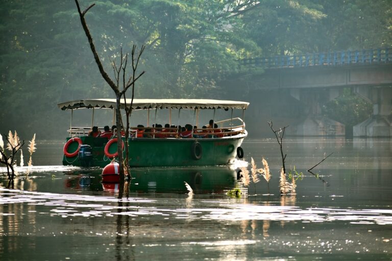 Rola rzek w logistyce miejskiej – transport i turystyka w aglomeracjach