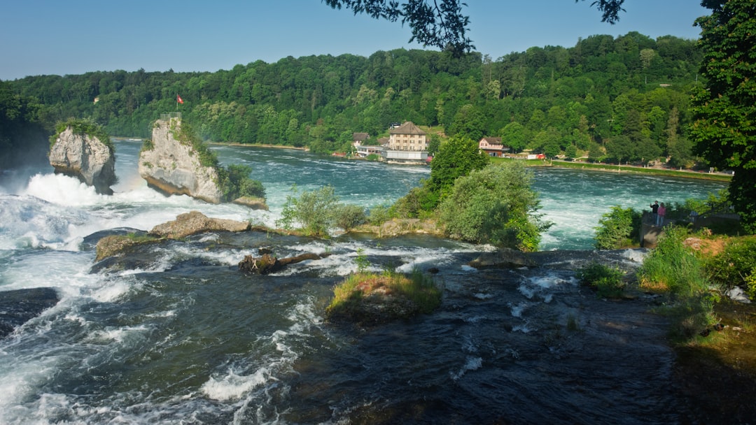 Żegluga na Warcie – potencjał gospodarczy i turystyczny rzeki w Wielkopolsce