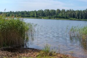 Wody Polskie – rola w zarządzaniu gospodarką wodną i nowe zadania